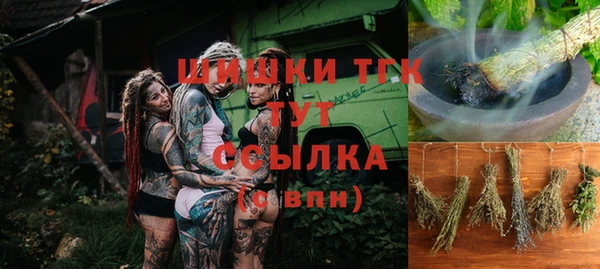 гидра Бородино