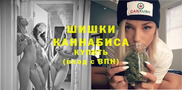 гидра Бородино