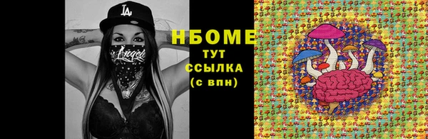 гидра Бородино