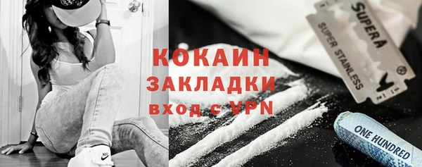 гидра Бородино