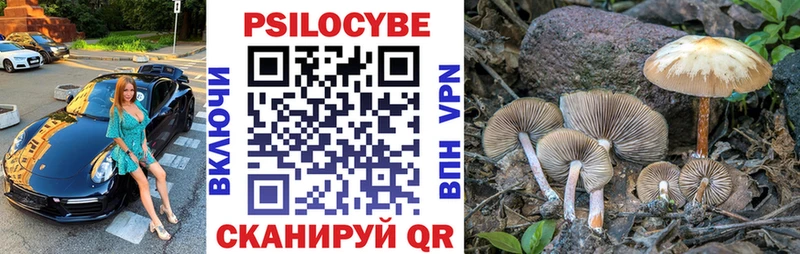 Галлюциногенные грибы Psilocybine cubensis  Купить закладки  Бор 
